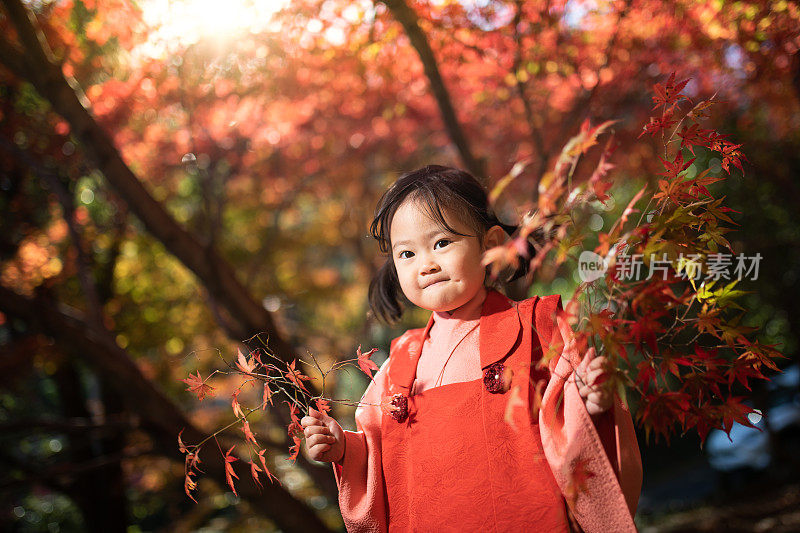 Cute Japanese girl in Kimono in Autumn nature 七五三